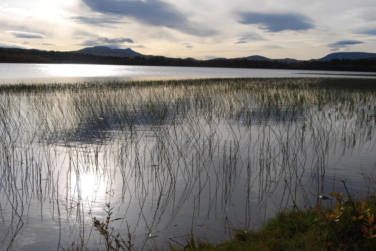 Chaleter Hodalen Fjellstue Tolga