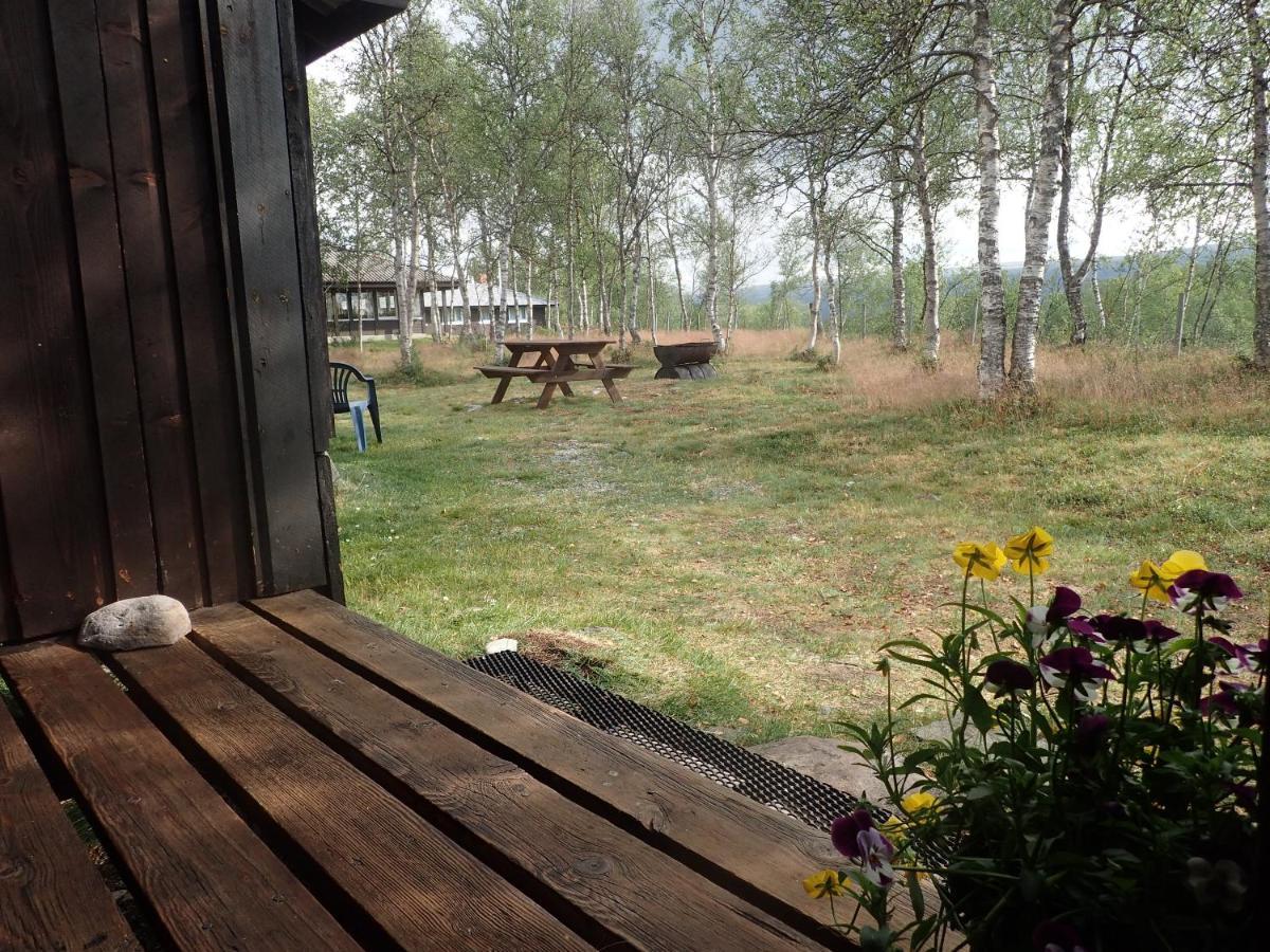 Hodalen Fjellstue Chalet Tolga